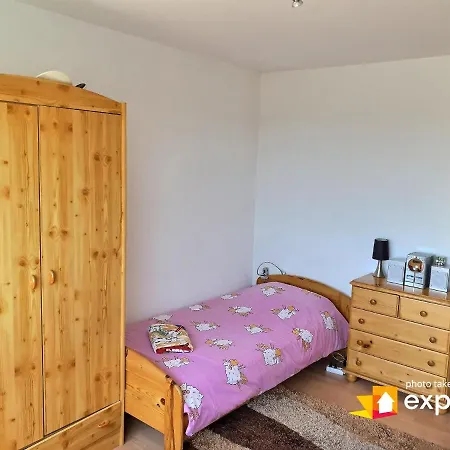 Appartement Bel Avec Vue Splendide Sur Toute La De - Parking Gratuit Colmar