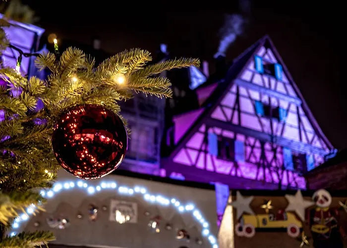 Bel Avec Vue Splendide Sur Toute La De - Parking Gratuit Colmar