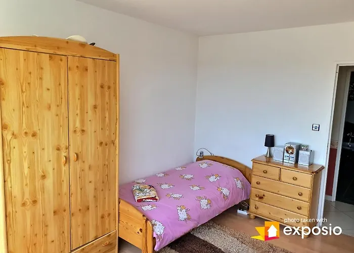 Appartamento Bel Avec Vue Splendide Sur Toute La De - Parking Gratuit Colmar